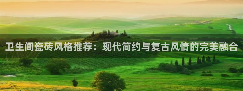和黄记官网：卫生间瓷砖风格推荐：现代简约与复古风情的完美融合