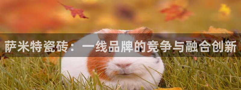 和记体育买球官网：萨米特瓷砖：一线品牌的竞争与融合创新