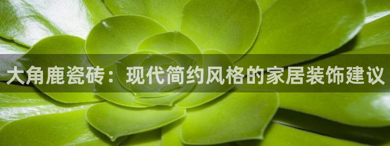 和记电讯APP官网充值