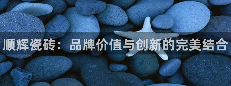 和记国际电讯官网