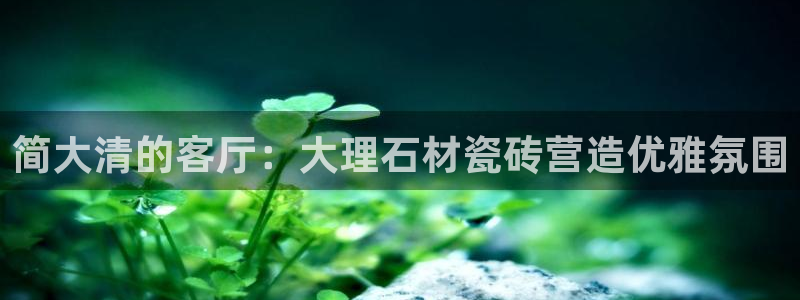和记中国官网