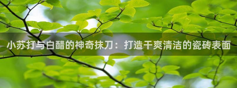 和记官网平台
