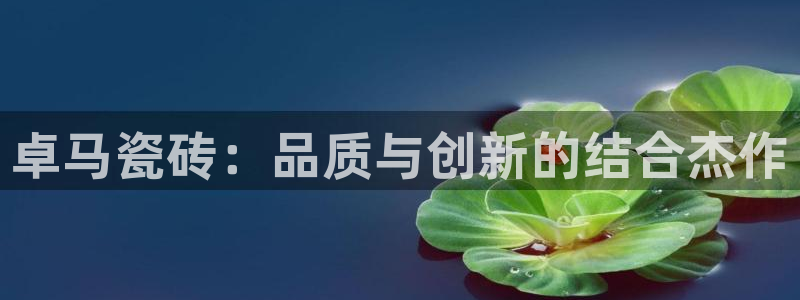 和记集团官网