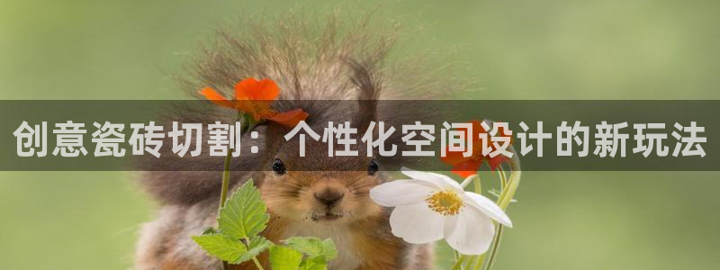 和记app官网