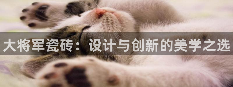 和记官网平台入口