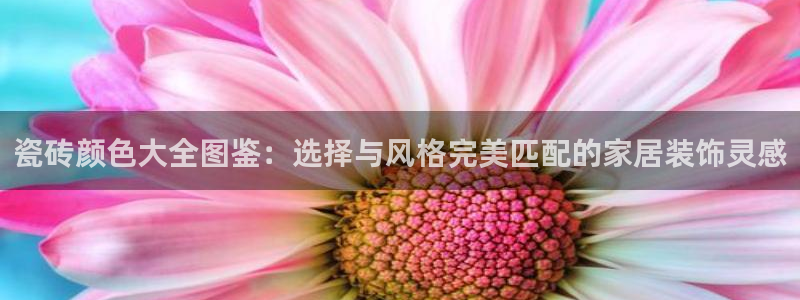 和记官网开户