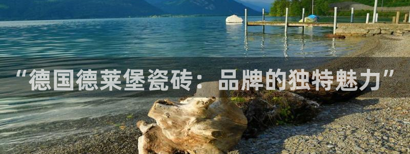和记体育官网