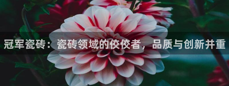 小金库钱包app下载官网和记