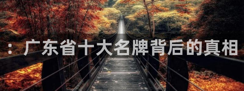 下载和记官网