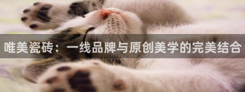 和记集团官网