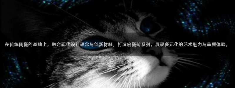 和记怡情视频官网