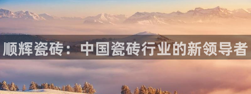 和记怡情h88官网中文版