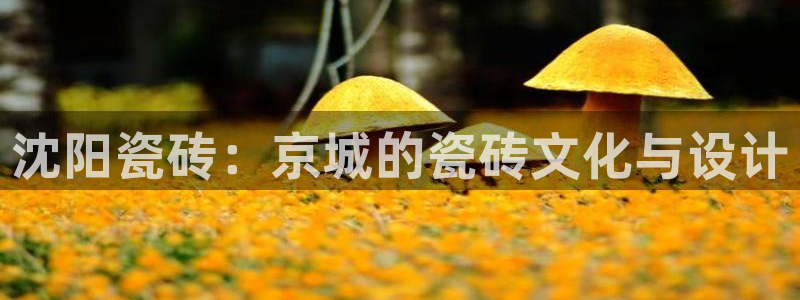 和记娱乐手机官网