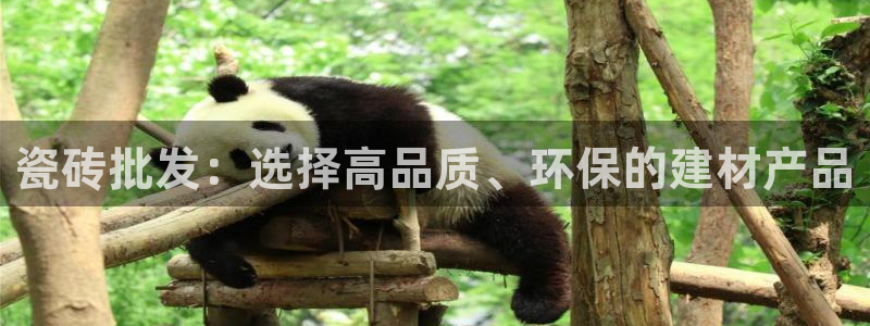和记安徽快3官网开户