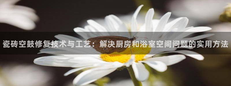 香港和记黄埔官网
