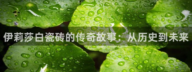 和记官网入口