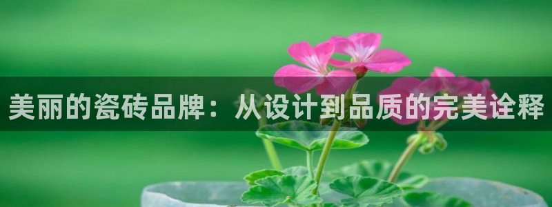 和记万佳官网