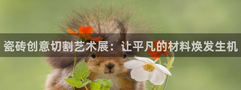 h88和记官网