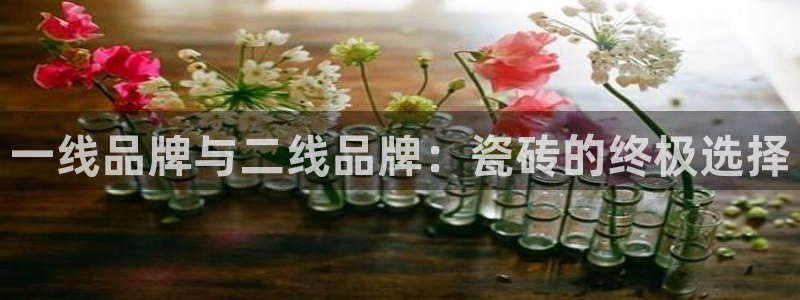 和记家家加盟官网