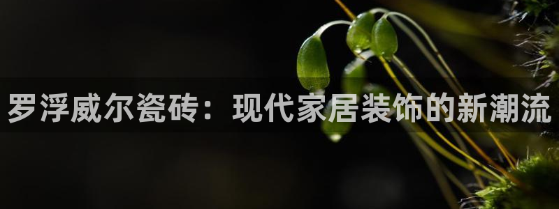 和记澳门官网
