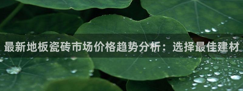 和记电讯 官网