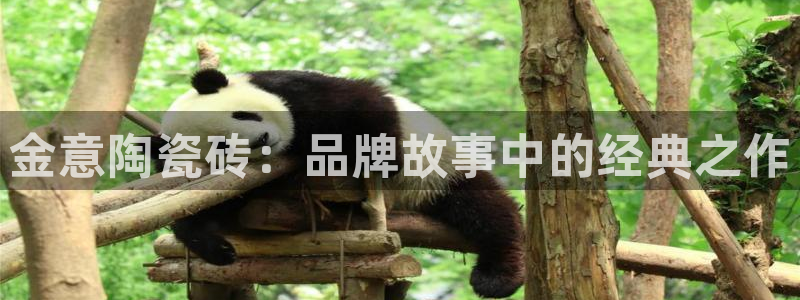 和记怡情h88官网中文版