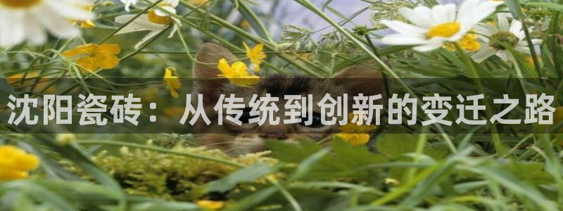 和记娱可信赖h88285官网