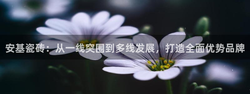 和记娱乐怡情博官网