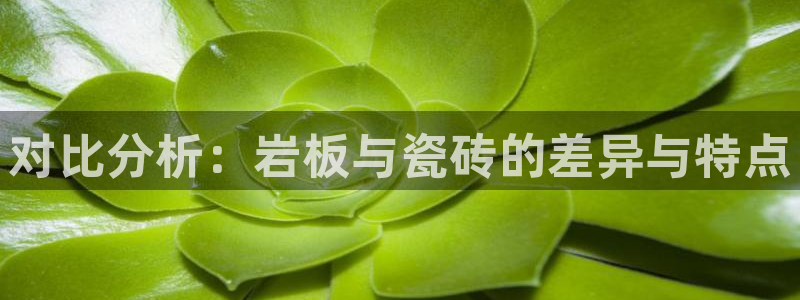 长江和记官网