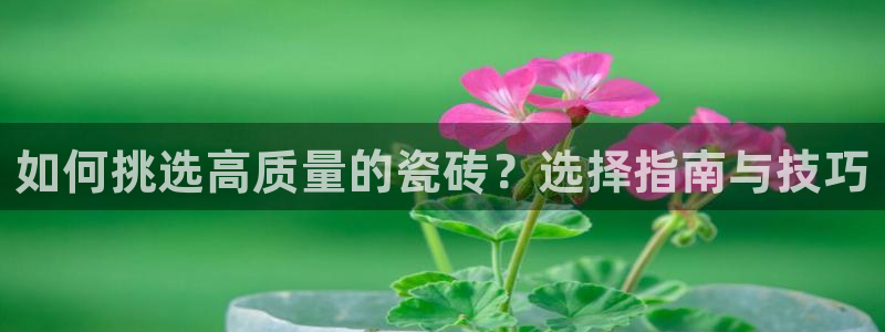 和记app官网登录