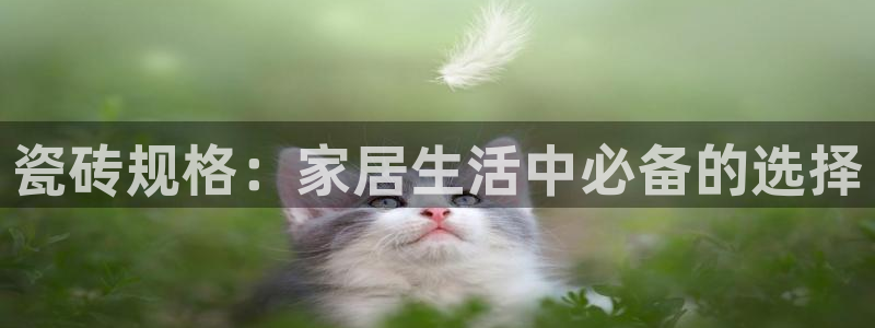 和记怡情视频在线官网