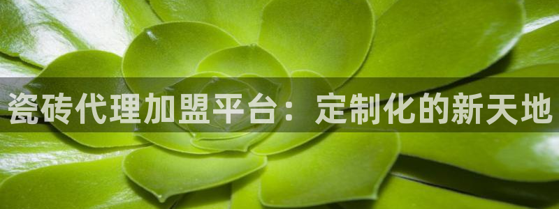 和记h8官网