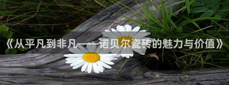 和记彩官网