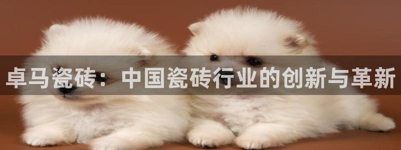 和记 官网