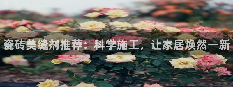 和记h88官网