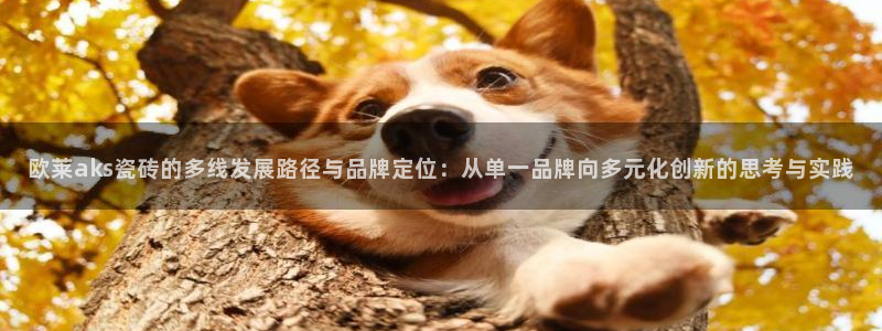 和记h88官网