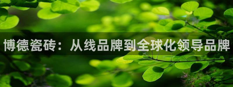 和记集团官网