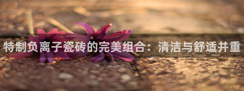 和记环球电讯官网