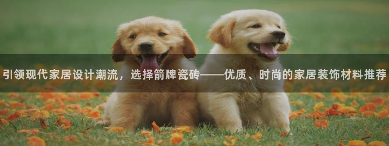 和记体育官网