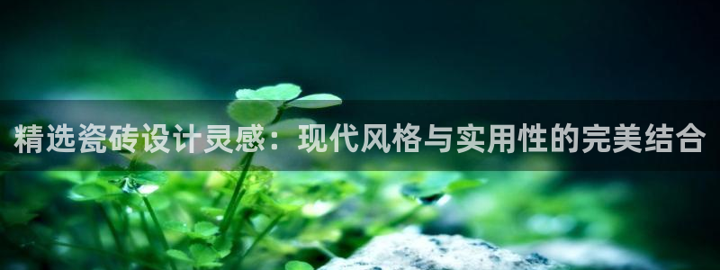 和记大合城dk2官网
