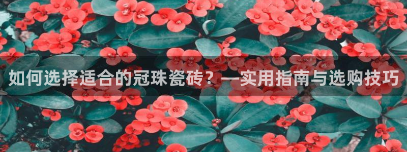 和记怡情博娱中国官网