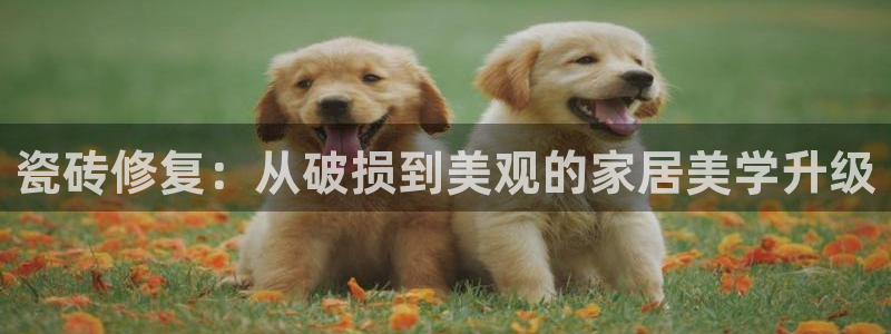 和记娱乐h8官网