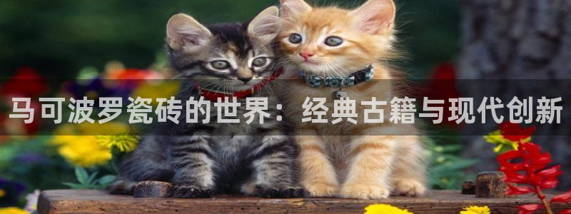 和记怡情h88官网