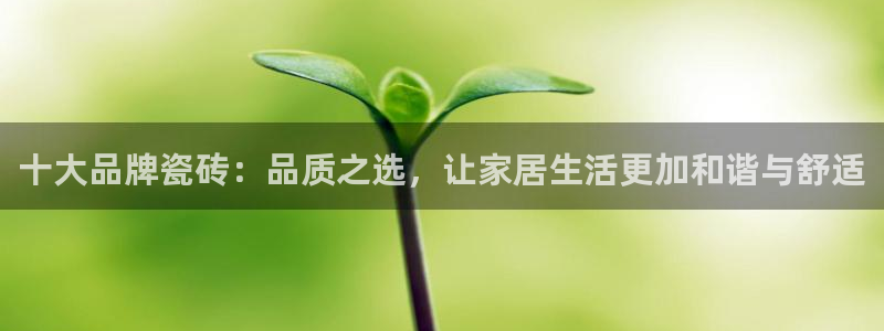 和记娱要多少钱h88285官网