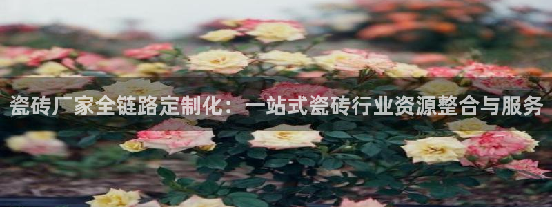 澳门和记官网娱乐场