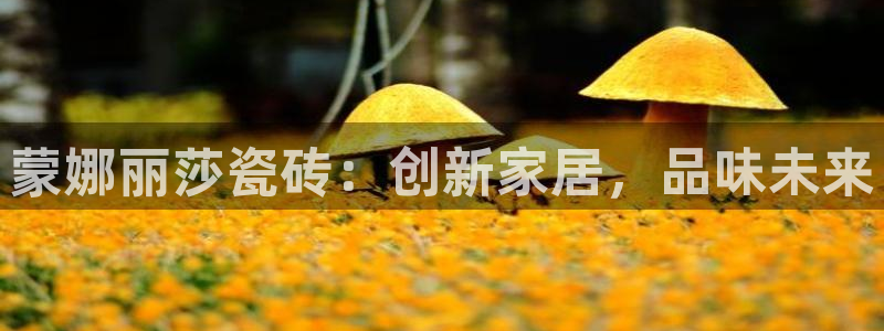 和记娱乐首页官网