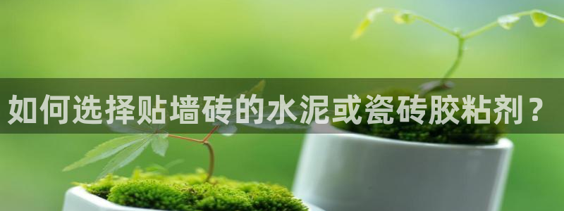 和帆记加盟官网