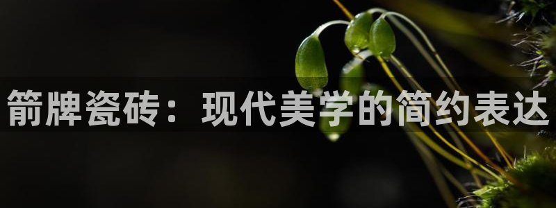 和记电讯澳门官网