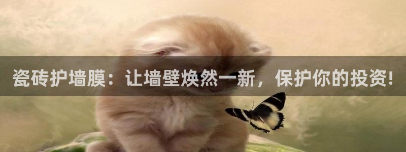 和记怡情视频在线官网