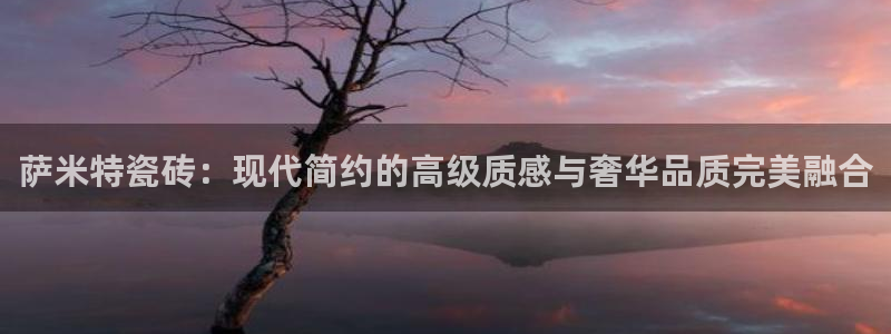 和记娱精湛h88285官网